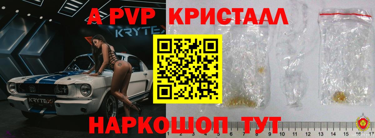 A PVP СК КРИС Томск