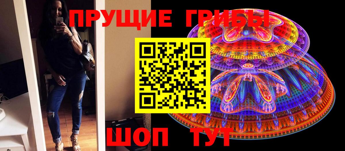 Томск  Псилоцибиновые грибы мицелий  где можно купить   Галлюциногенные грибы мухоморы  Вход с VPN 