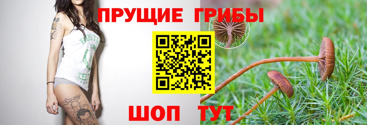 Псилоцибиновые грибы ЛСД Томск